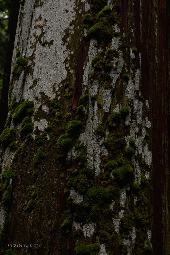 581220140701DSC_0859