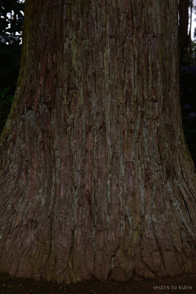 588020140707DSC_0954