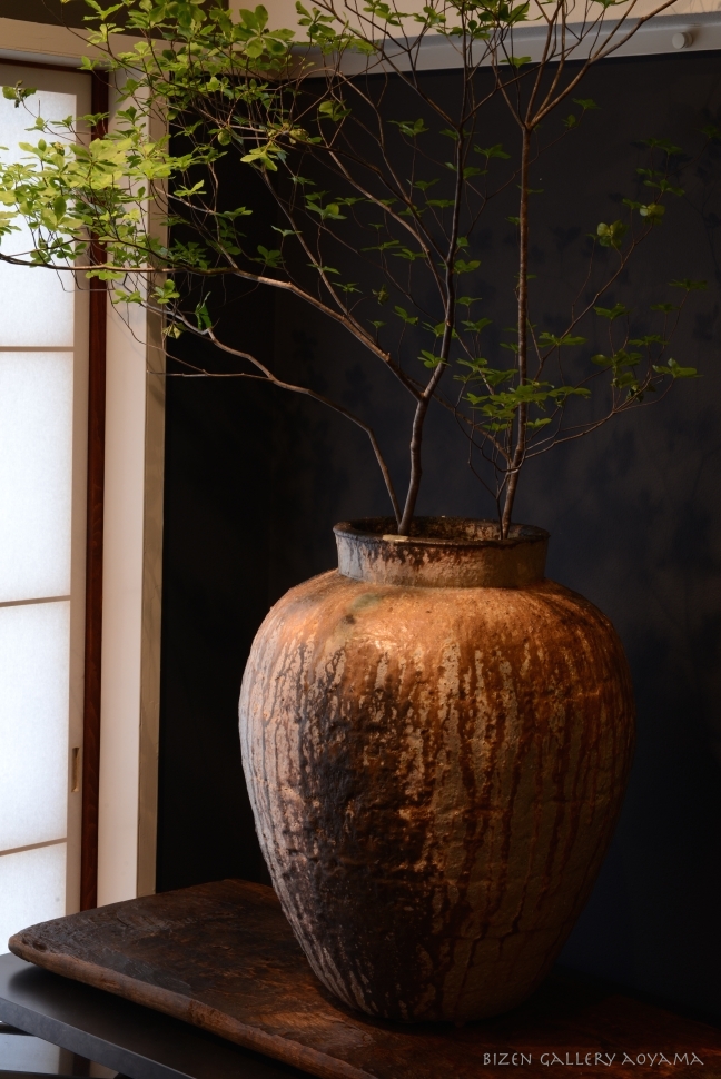 639620140730tsuboDSC_1777