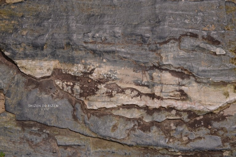 627120140721DSC_1644