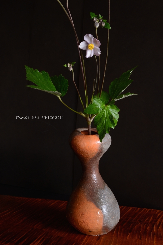 68692014tamonDSC_2478