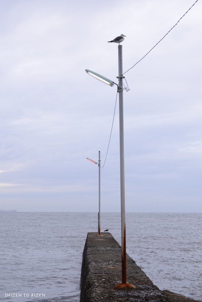 702920140901DSC_2739