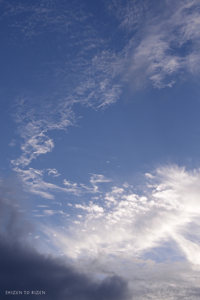 705120140901DSC_2794