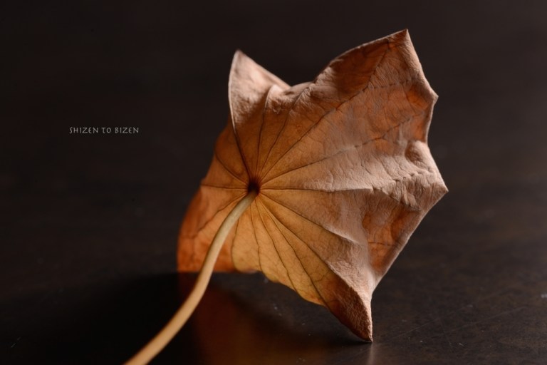 709720140905DSC_2886