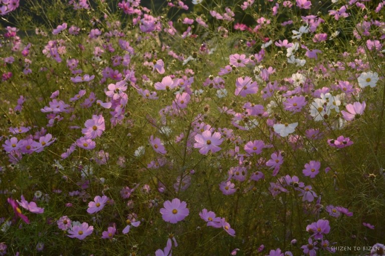 750020140922DSC_3460