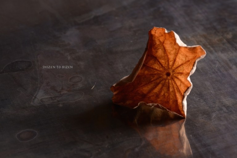 758620140924DSC_3593