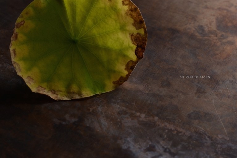 760720140924DSC_3626