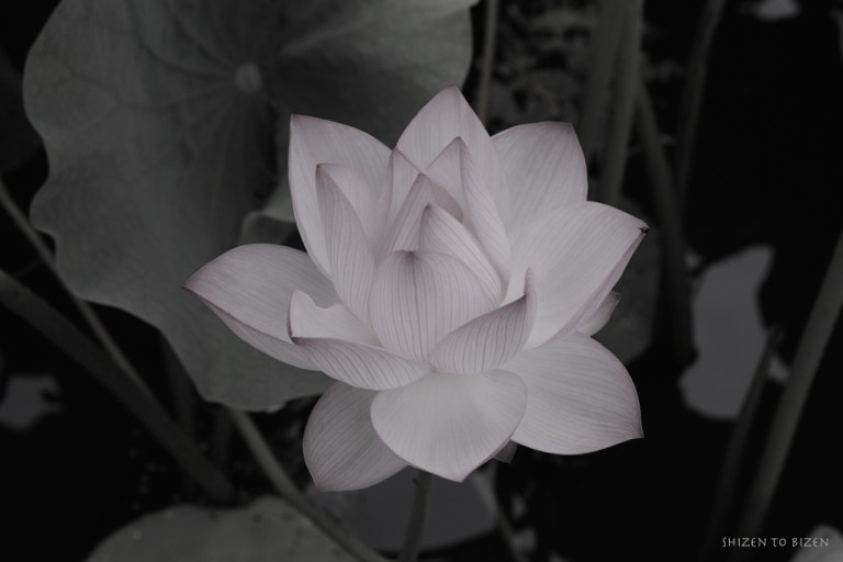 625620140721DSC_1602