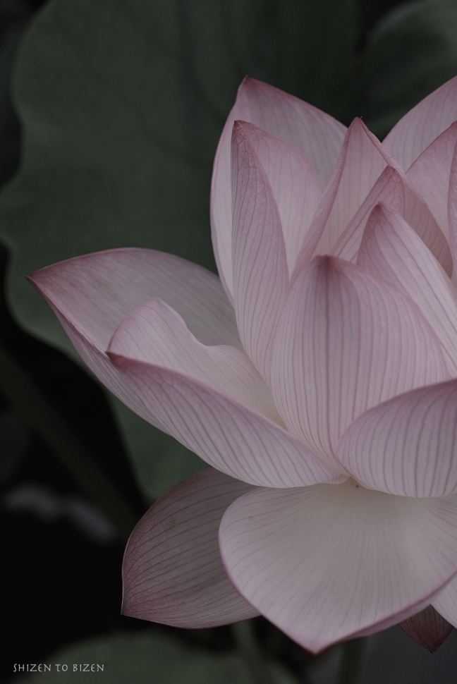 629020140721DSC_1615