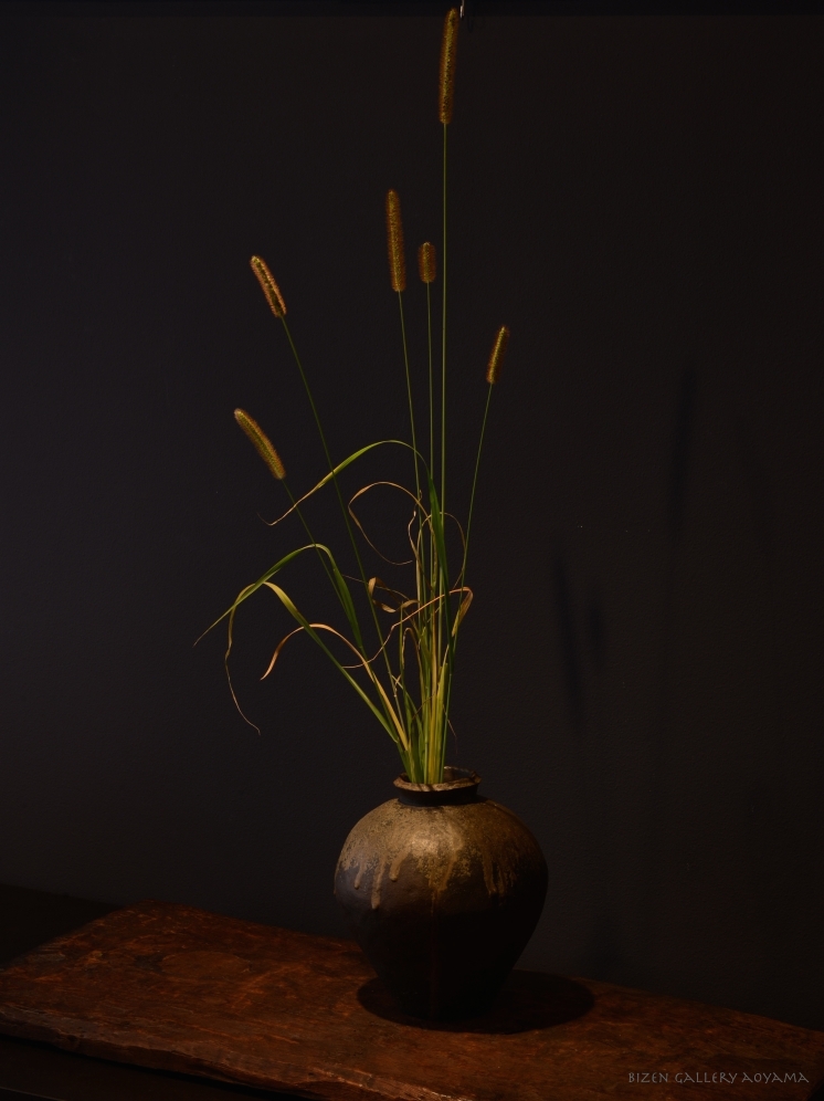 7781rimpeiexDSC_3869