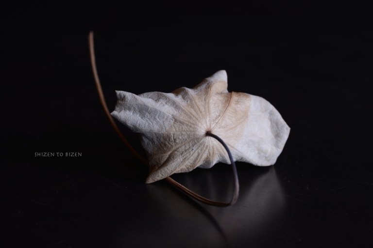 7899karehasuDSC_4102