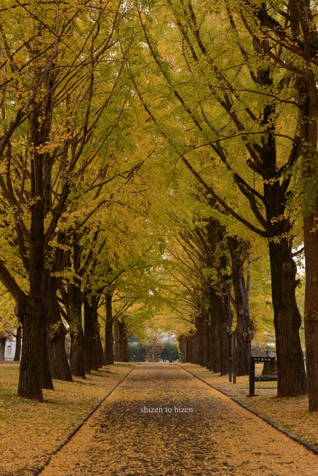 898320141110DSC_5800