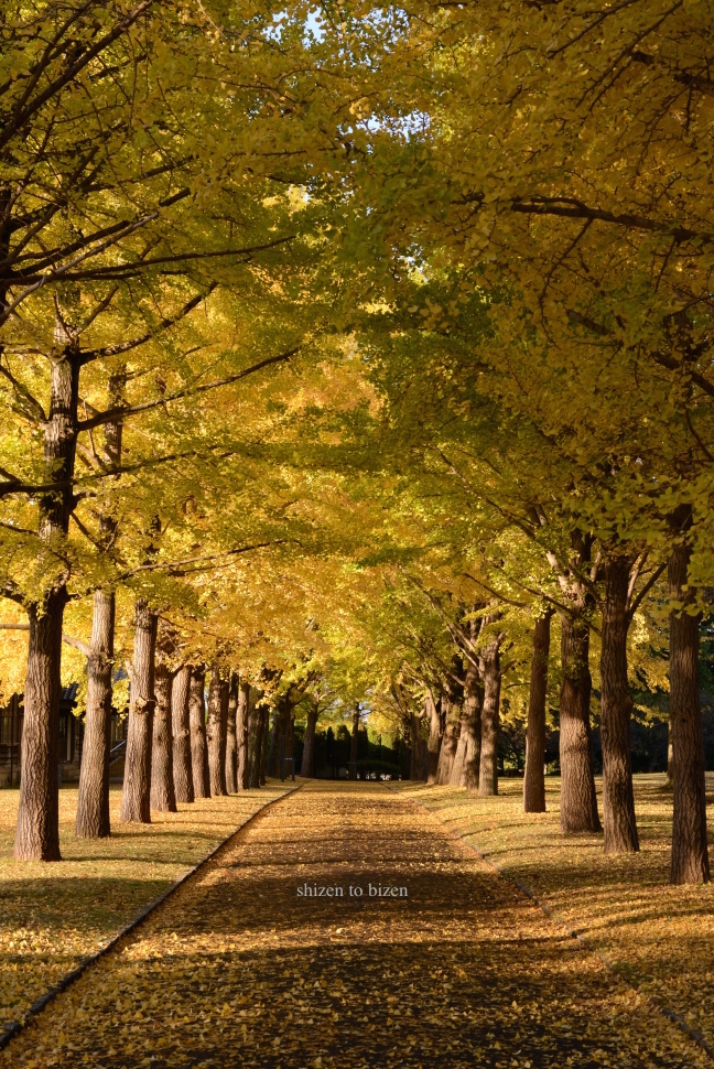 900620141110DSC_5845