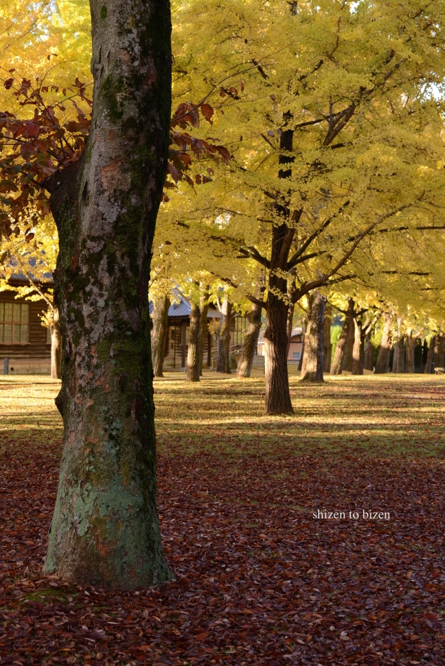 900820141110DSC_5857