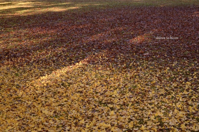 907620141110DSC_5864