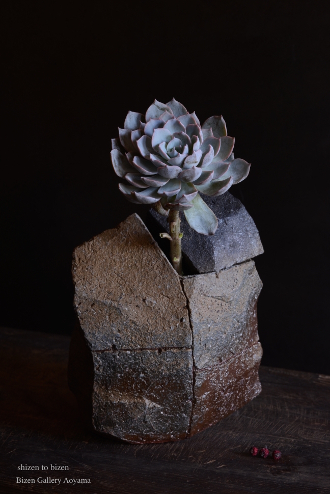 910820141113DSC_5969