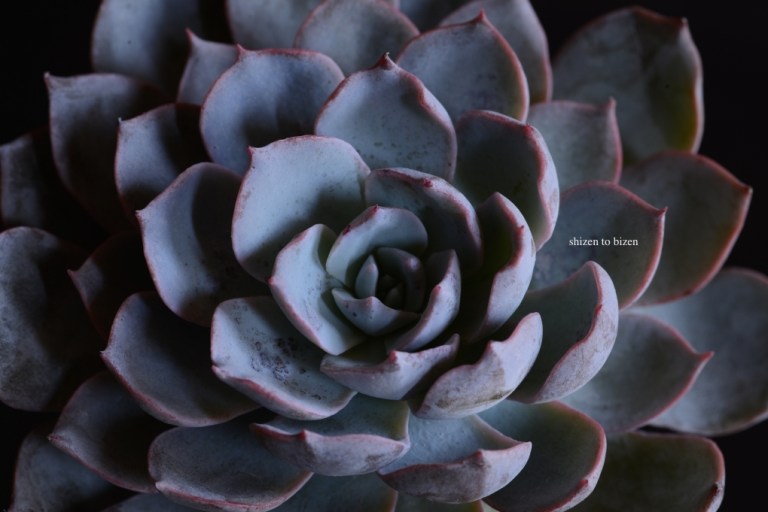 913120141113DSC_5986