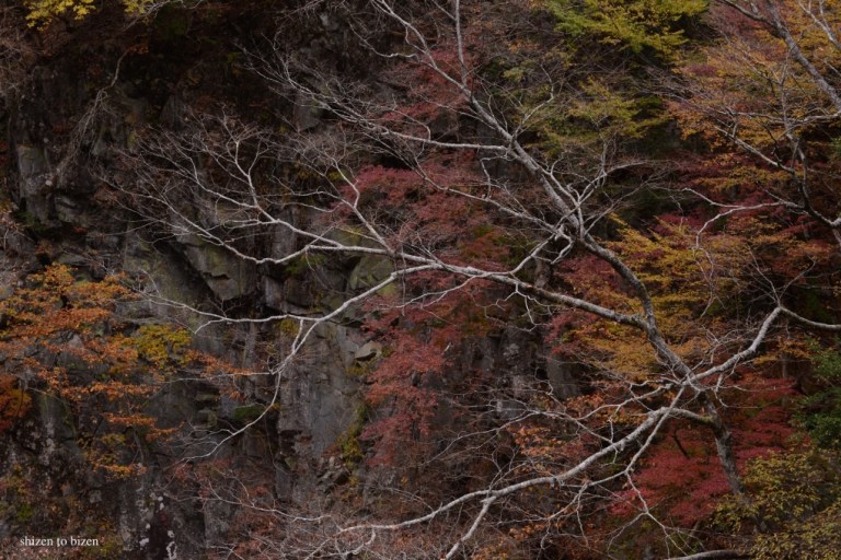 941020141117DSC_6379