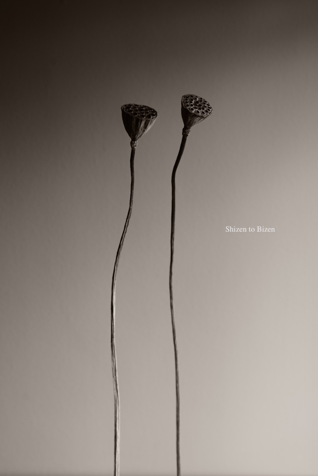 961420141120DSC_6774