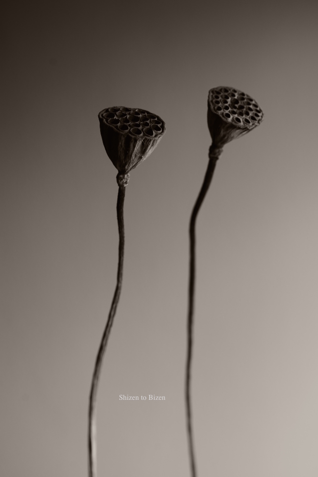 961920141120DSC_6780