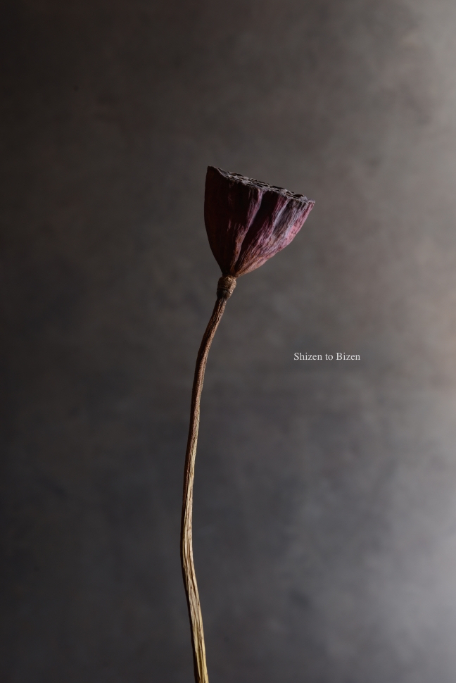 976720141122DSC_7053