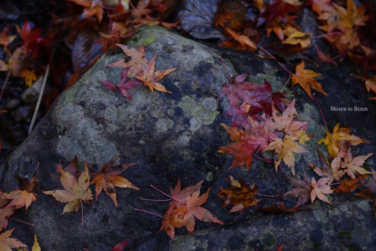 997120141130DSC_7537