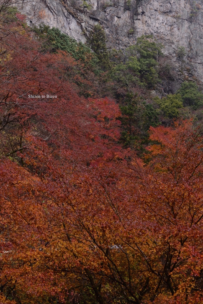 1007120141130DSC_7563