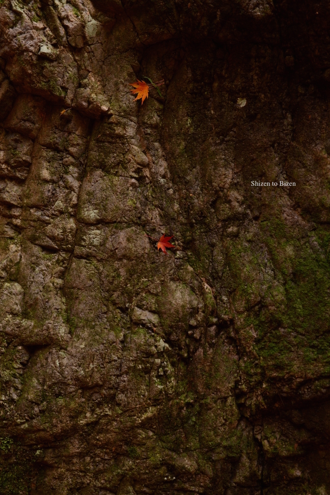 1011020141130DSC_7647