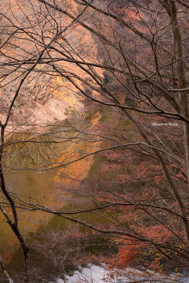 1014820141130DSC_7726