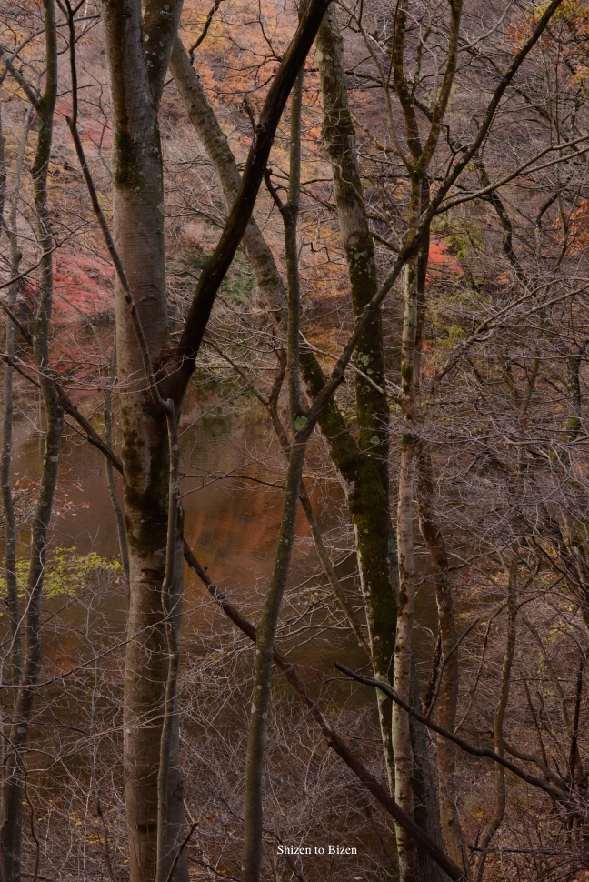 1015320141130DSC_7732