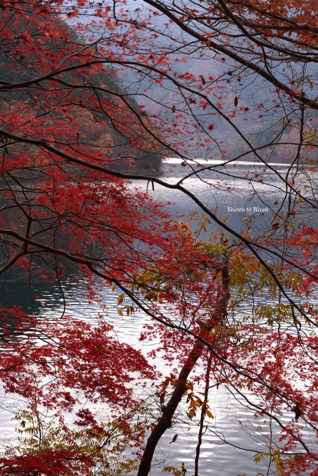 1017620141130DSC_7772