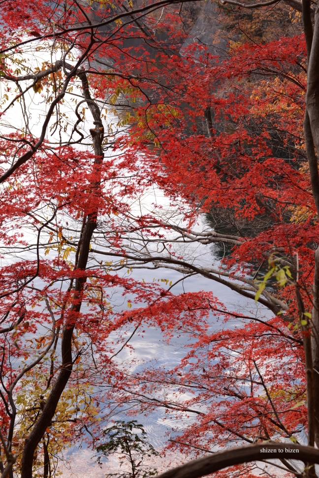 1020120141130DSC_7819