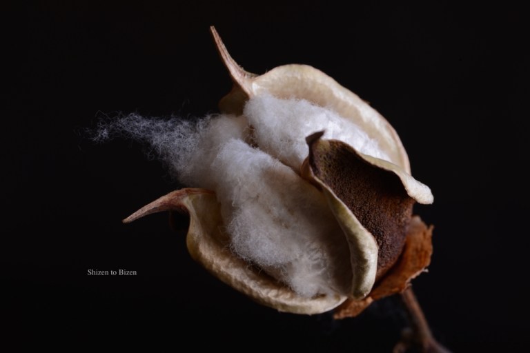 1063620141217DSC_8531