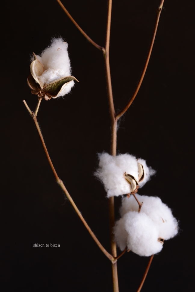 1070420141217DSC_8491