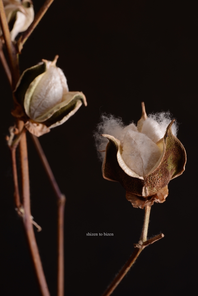 1071420141217DSC_8503