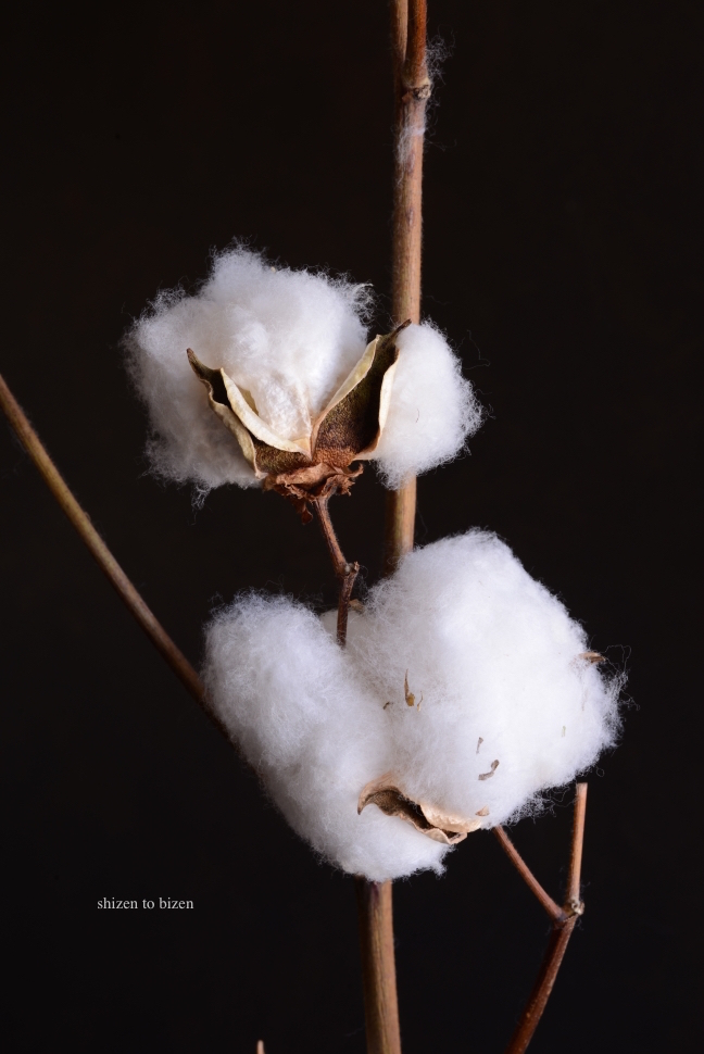 1071520141217DSC_8504