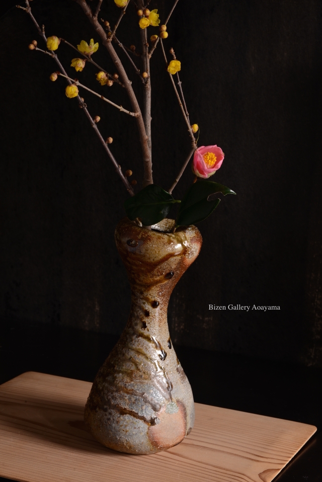 10879tamonhanaireDSC_8780