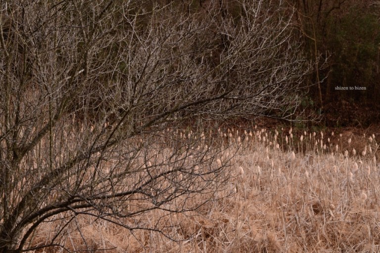 1093920141222DSC_8831