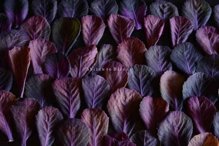 1120320150108DSC_9249