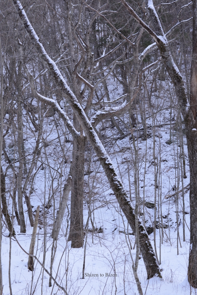 1158220150119DSC_0051