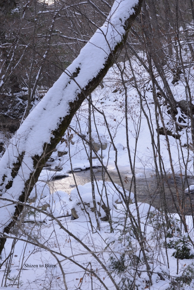 1158820150119DSC_0066