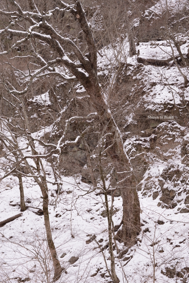 1179420150119DSC_9981