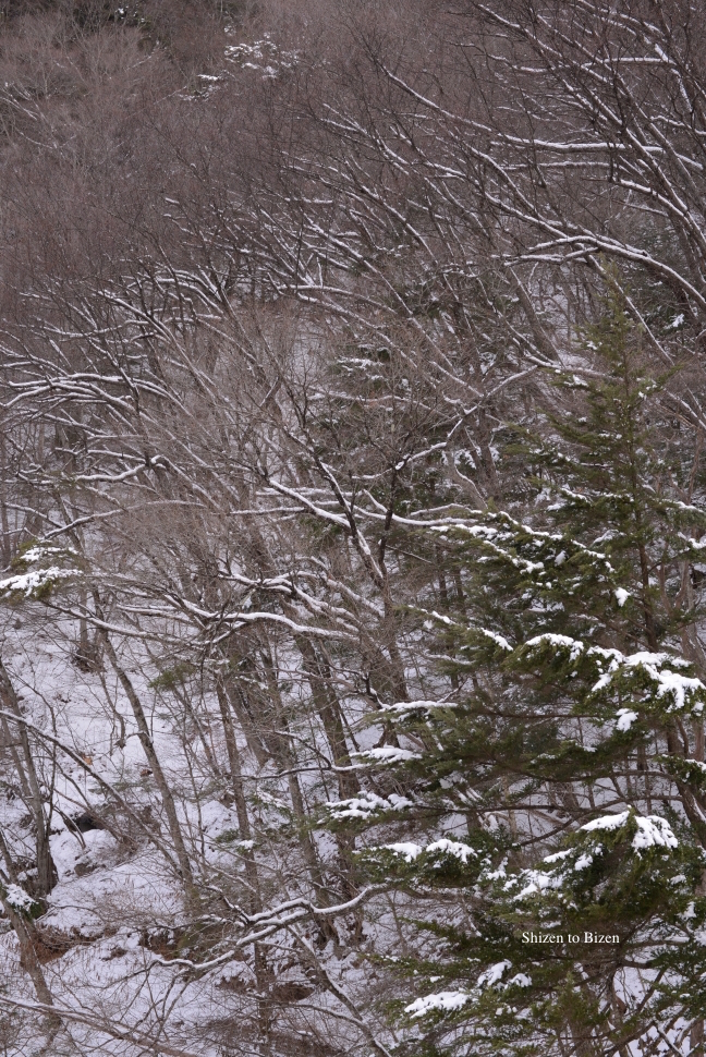 1180020150119DSC_9999