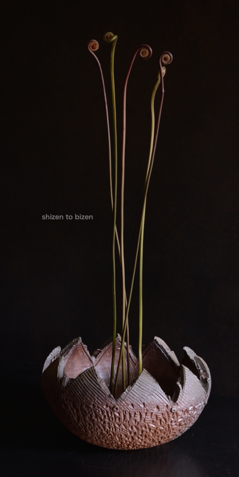 1187220150120DSC_0187