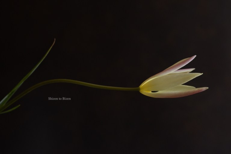 1188020150120DSC_0144