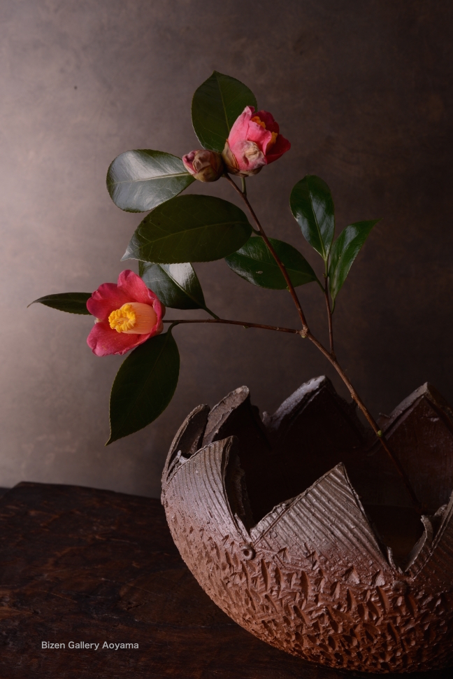 1220720150204DSC_0753