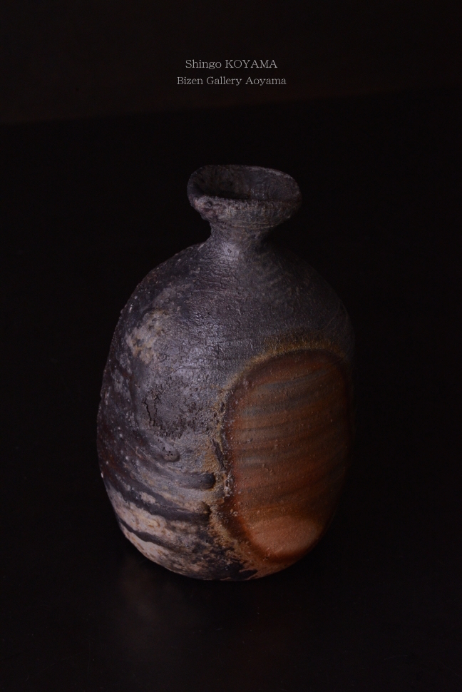 1243720150207DSC_1121