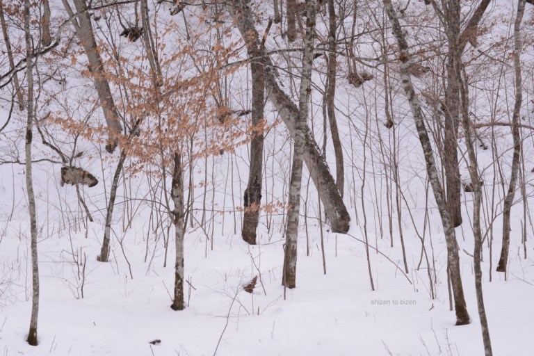 1253820150210DSC_1255