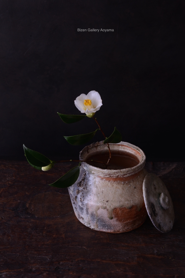 1289220150219DSC_1694