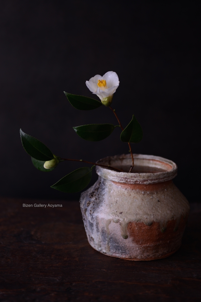 1292220150219DSC_1743